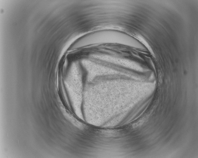 X0000061141132200512091927