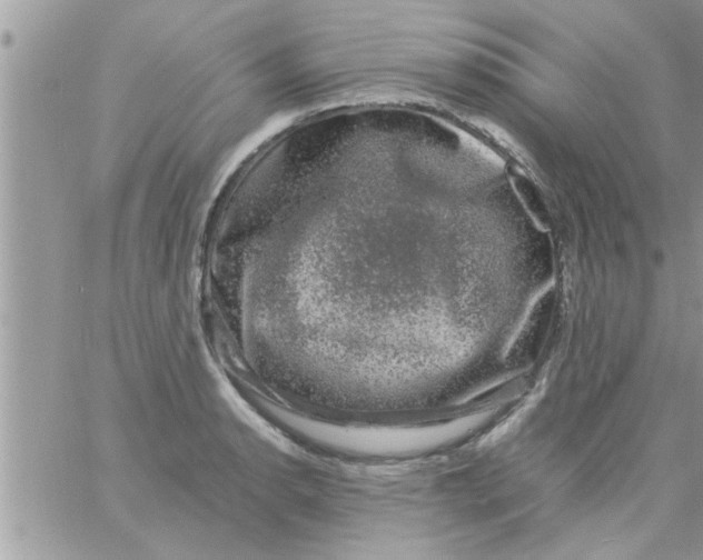 X0000061141134200512091927