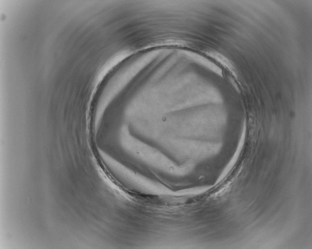 X0000061141135200512091927