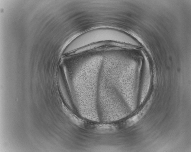 X0000061141137200512091927