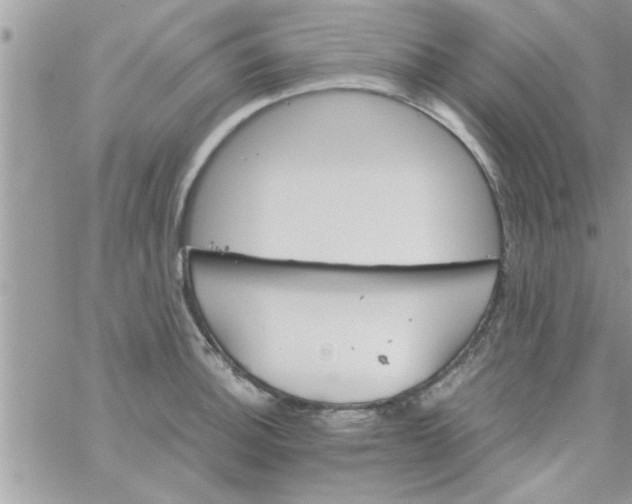 X0000061141140200512091927