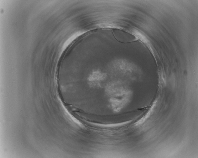 X0000061141141200512091927