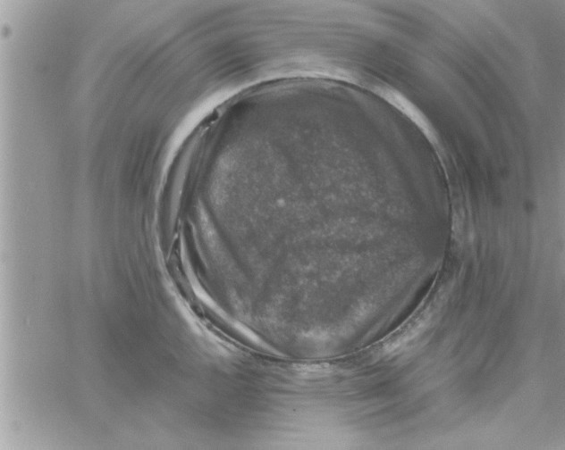 X0000061141144200512091927