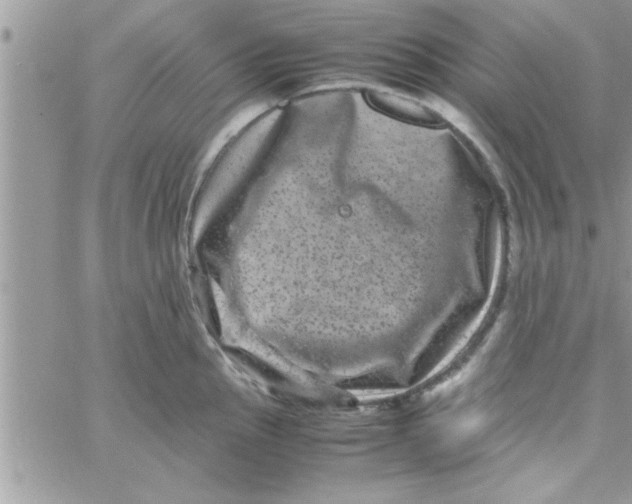 X0000061141145200512091927