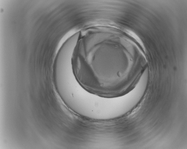 X0000061141146200512091927