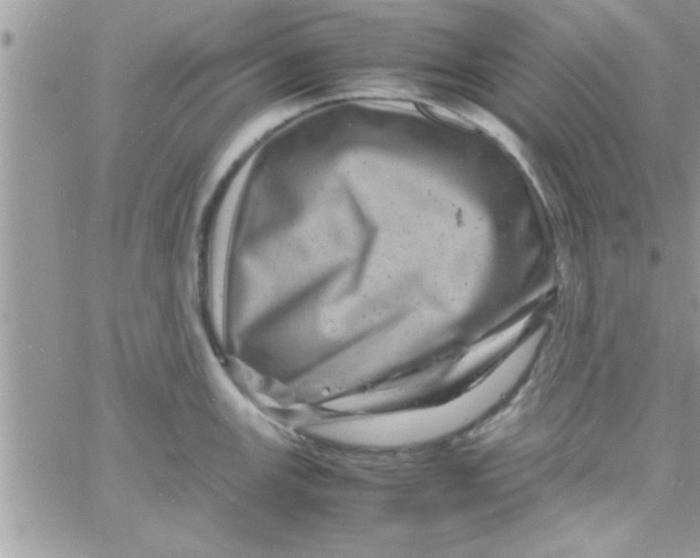 X0000061141147200512091927