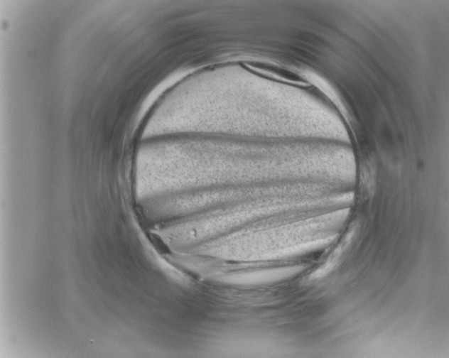 X0000061141149200512091927