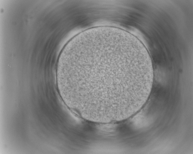 X0000061141150200512091927