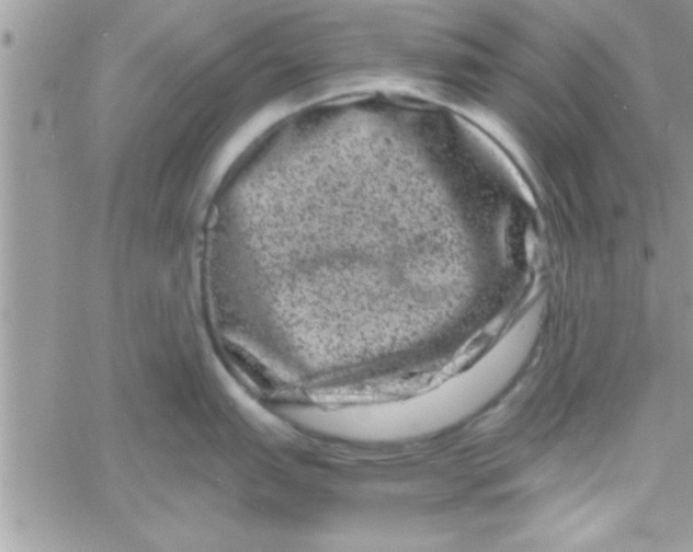 X0000061141151200512091927