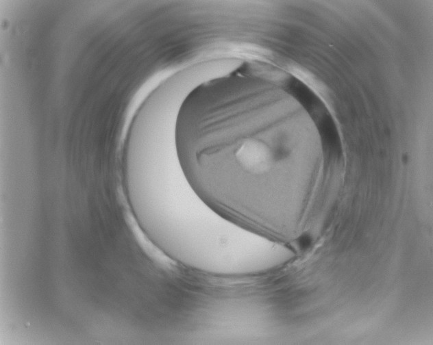 X0000061141152200512091927