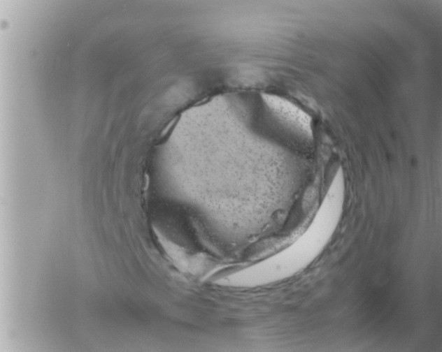 X0000061141153200512091926