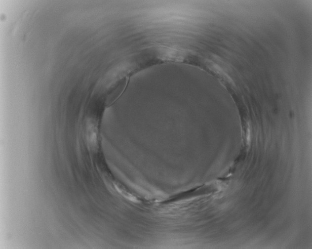 X0000061141154200512091926