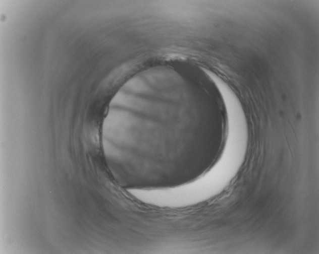 X0000061141155200512091926