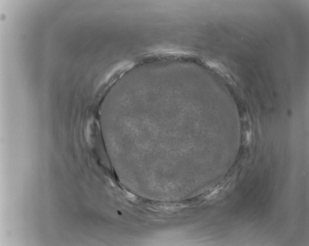 X0000061141157200512091926