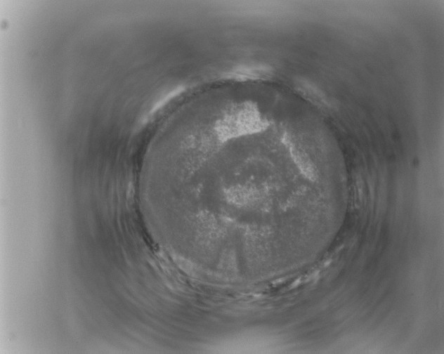 X0000061141158200512091926