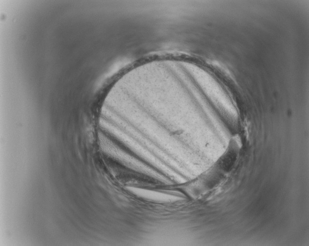 X0000061141159200512091926