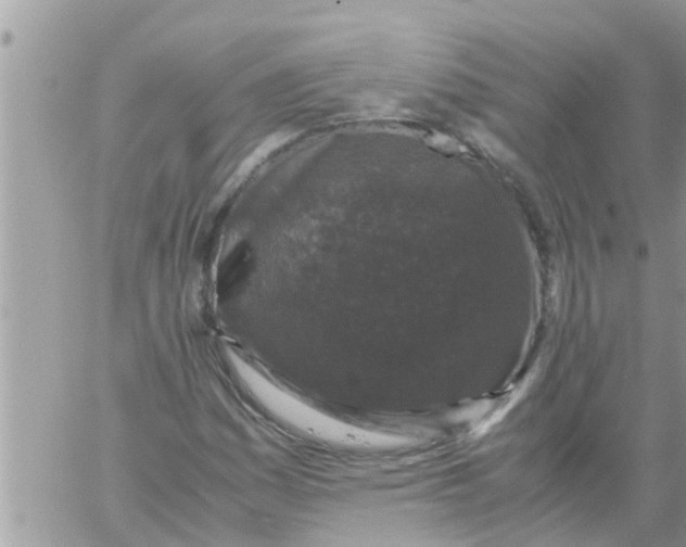 X0000061141161200512091926