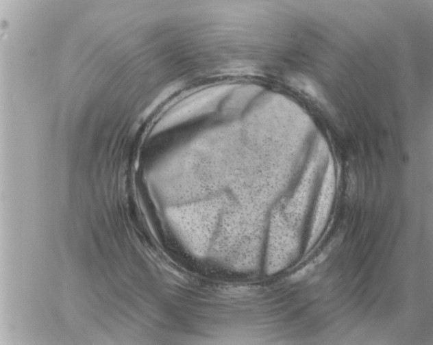 X0000061141162200512091926