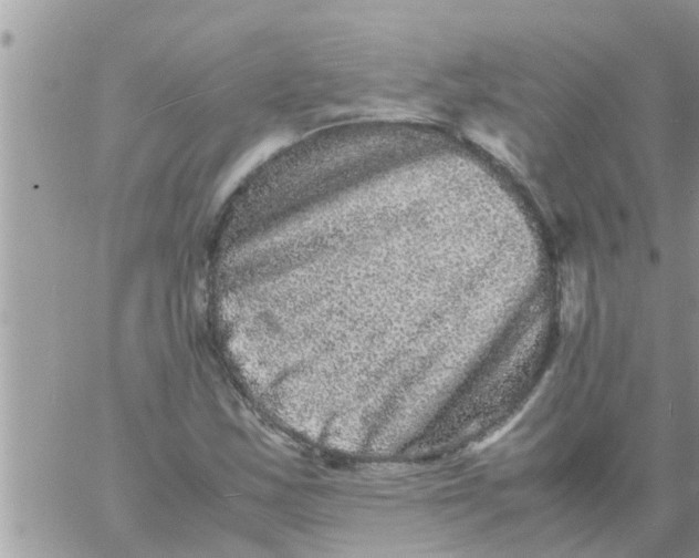 X0000061141163200512091926