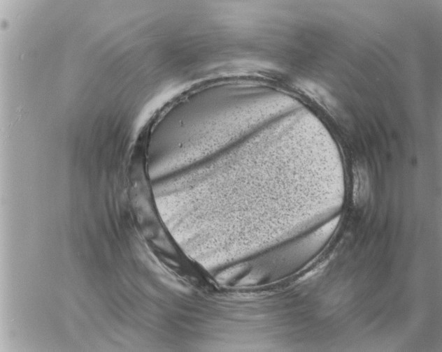 X0000061141164200512091926