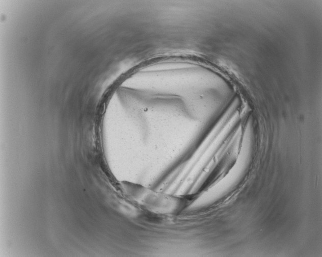 X0000061141165200512091926