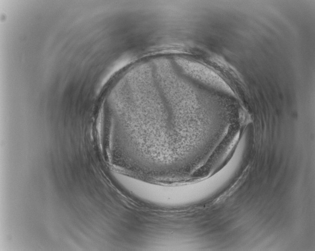 X0000061141166200512091926