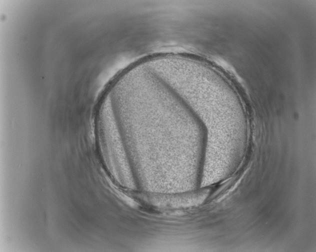 X0000061141167200512091926