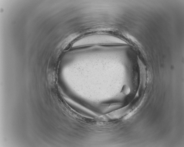 X0000061141169200512091926