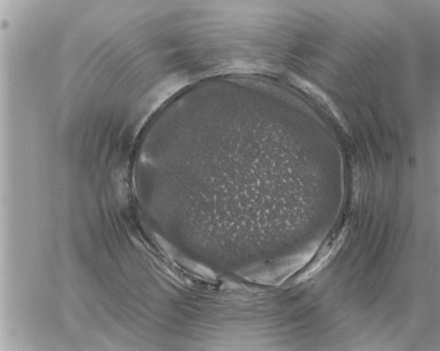 X0000061141170200512091926