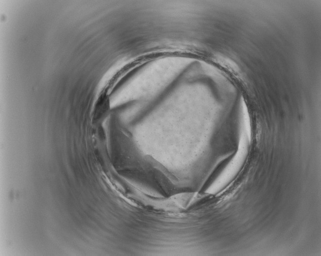 X0000061141172200512091926