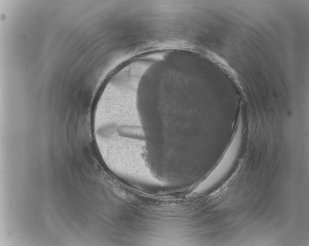 X0000061141174200512091926