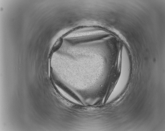 X0000061141175200512091926