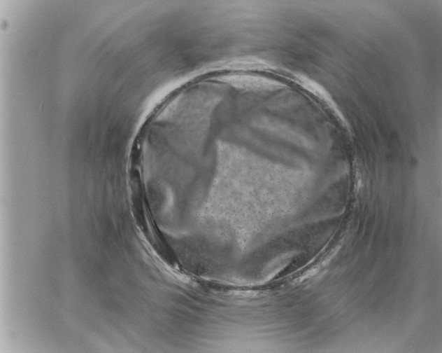 X0000061141176200512091926