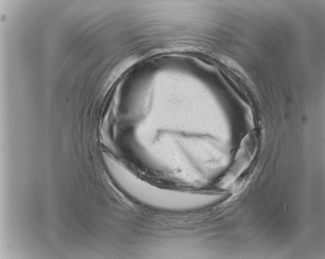 X0000061141177200512091926