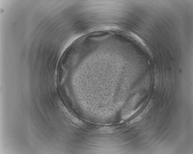 X0000061141178200512091926