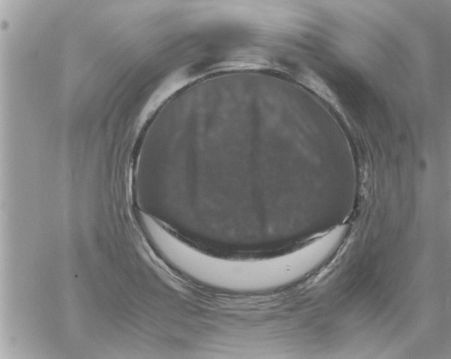 X0000061141179200512091926