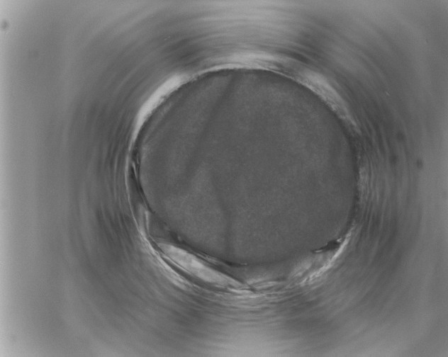 X0000061141180200512091926