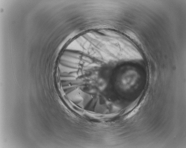 X0000061141181200512091926