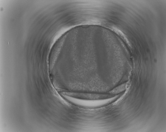 X0000061141184200512091926