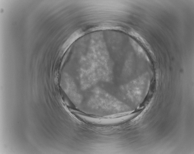 X0000061141185200512091926