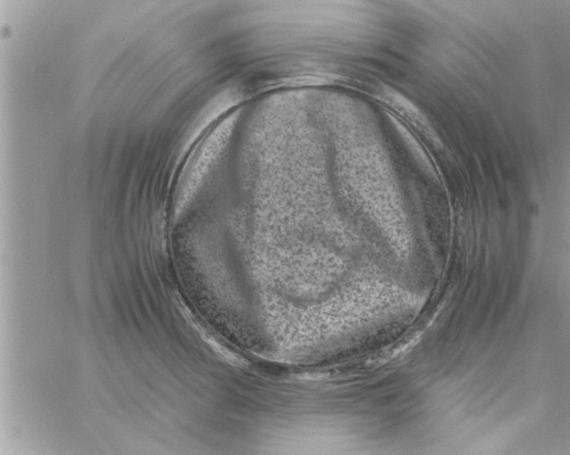 X0000061141186200512091926