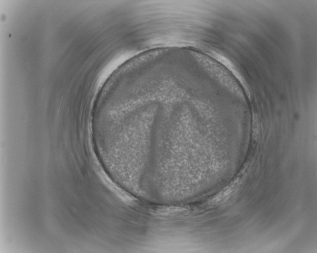 X0000061141187200512091926