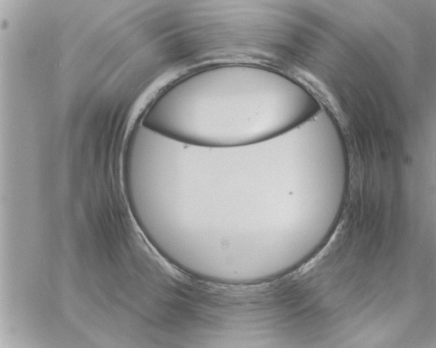 X0000061141188200512091926