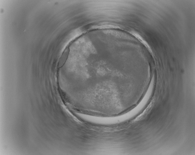 X0000061141189200512091926