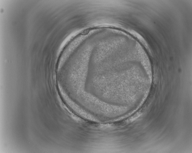 X0000061141191200512091926