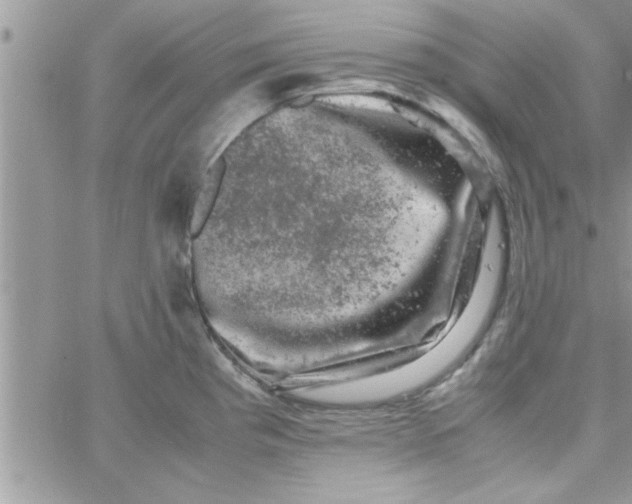 X0000061141193200512091926