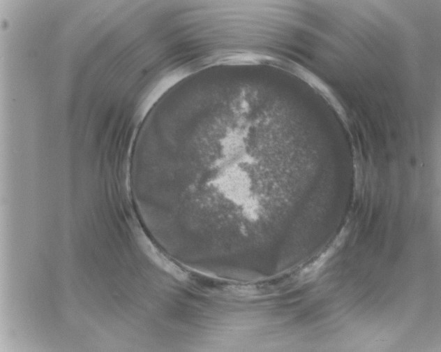 X0000061141194200512091926