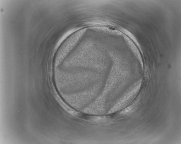 X0000061141195200512091926