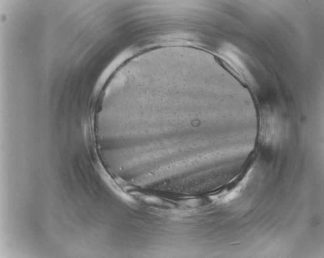 X0000061141196200512091926