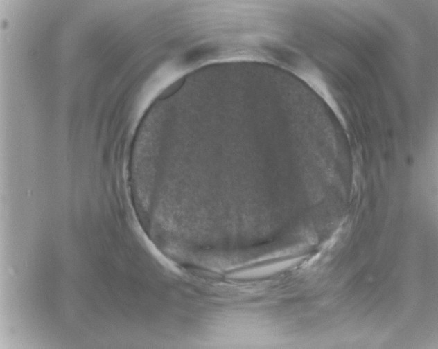 X0000061141197200512091926